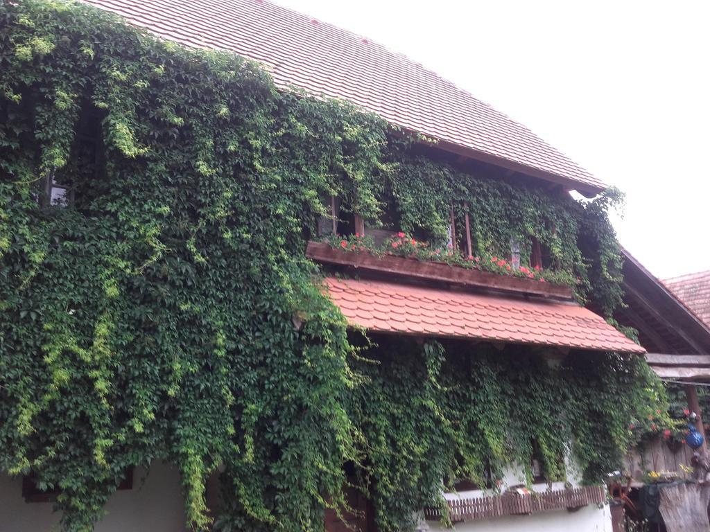Rural Tourism Family Ravlic Casa de hóspedes Muzilovcica Exterior foto