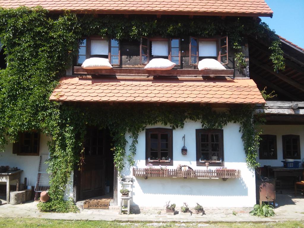 Rural Tourism Family Ravlic Casa de hóspedes Muzilovcica Exterior foto